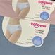 Трусы женские бесшовные с бабочкой Kokowei, 3XL, 3 шт