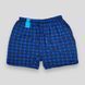 Трусы мужские семейные Strong батал (ST1209) 5XL 2 шт